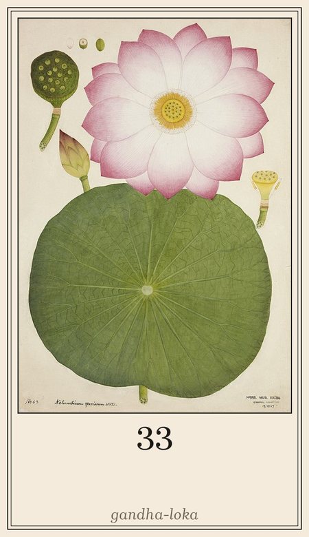 Leela deck, square 33 Plane of fragrance
